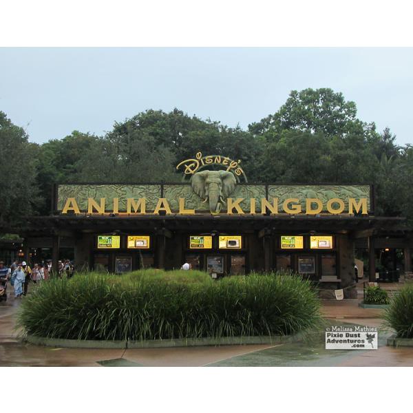 Animal-Kingdom-Entrance